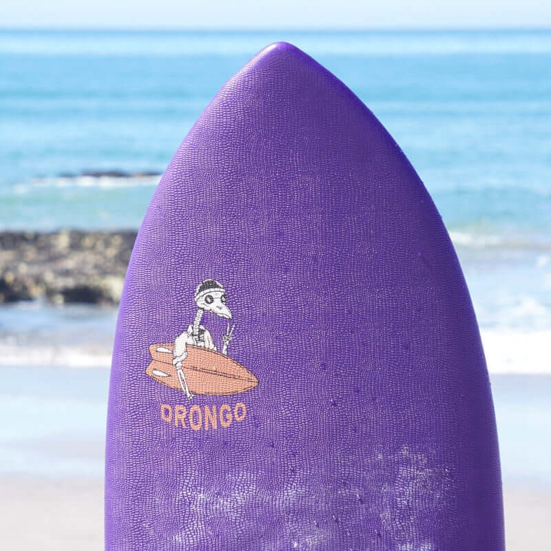 Dead Bird Inc. Softboard The Drongo 5'4" 34L (Miete)