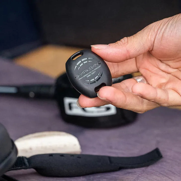 FCS Sharkbanz POD - Schwarz