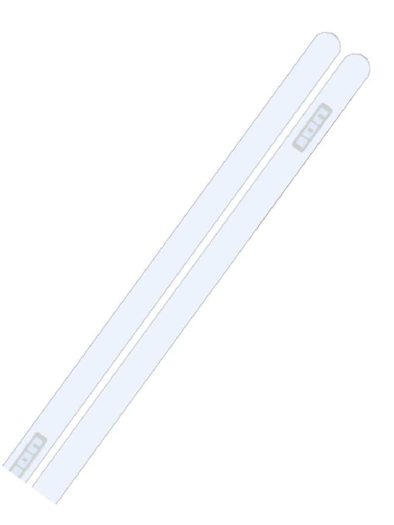 ION Rail Lover Gear Protector (2 Stück) - transparent
