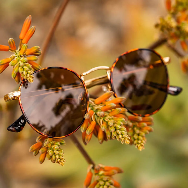 Knockaround Sonnebrille Love & Haights - No Alibi