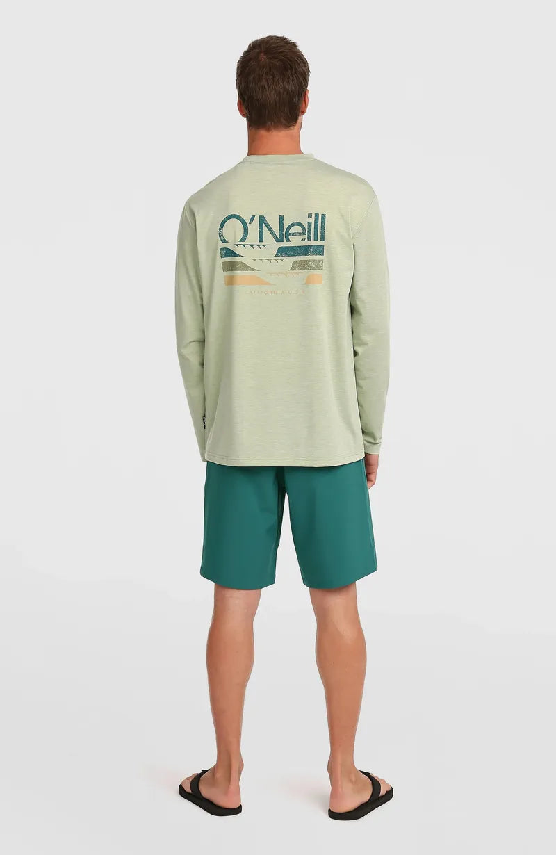 O'Neill Herren Hybridshort 19" - Botanical Heat