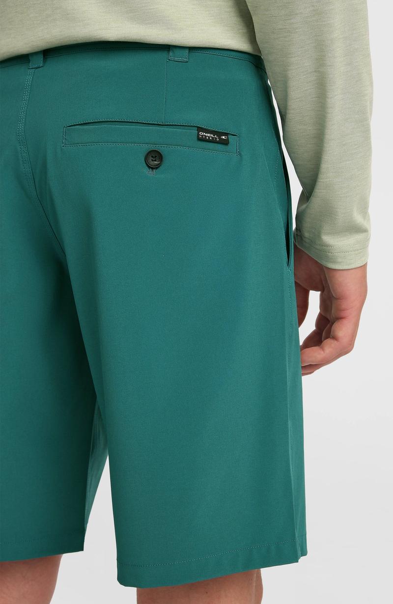 O'Neill Herren Hybridshort 19" - Botanical Heat