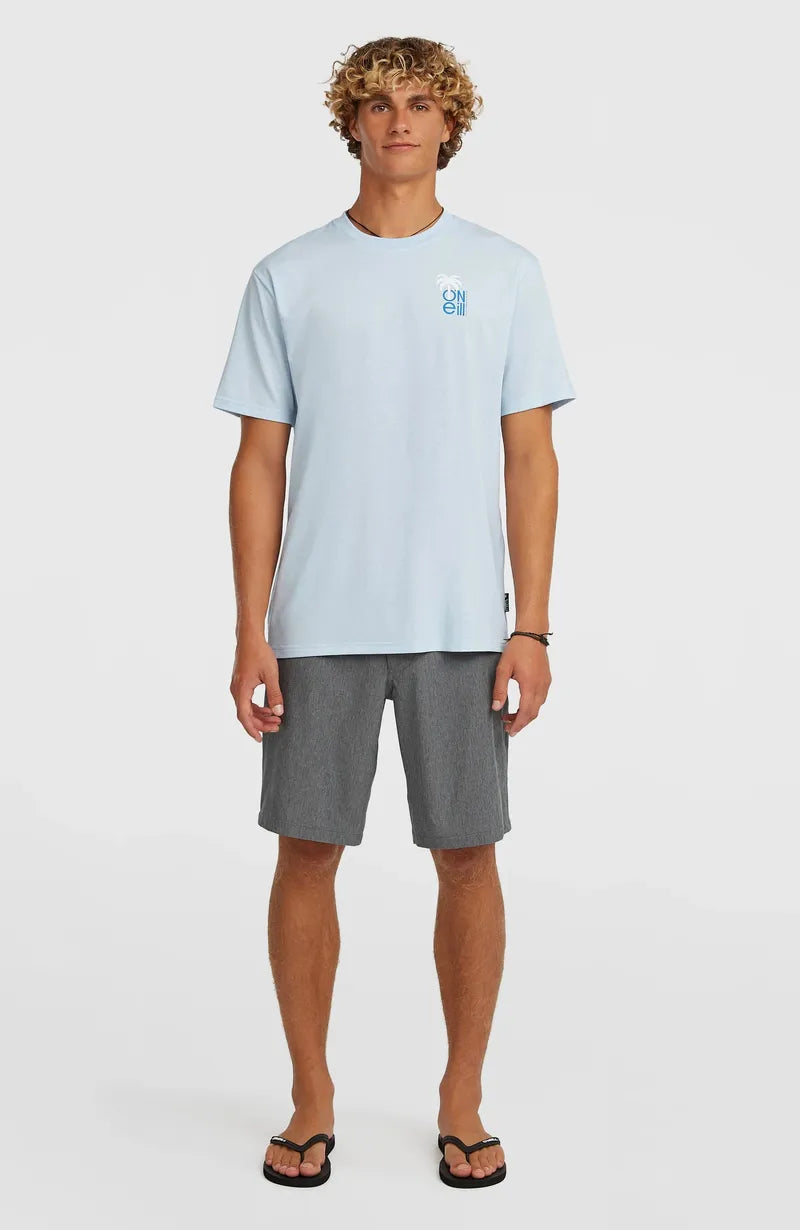 O'Neill Herren Hybridshort Melange 19" - black out