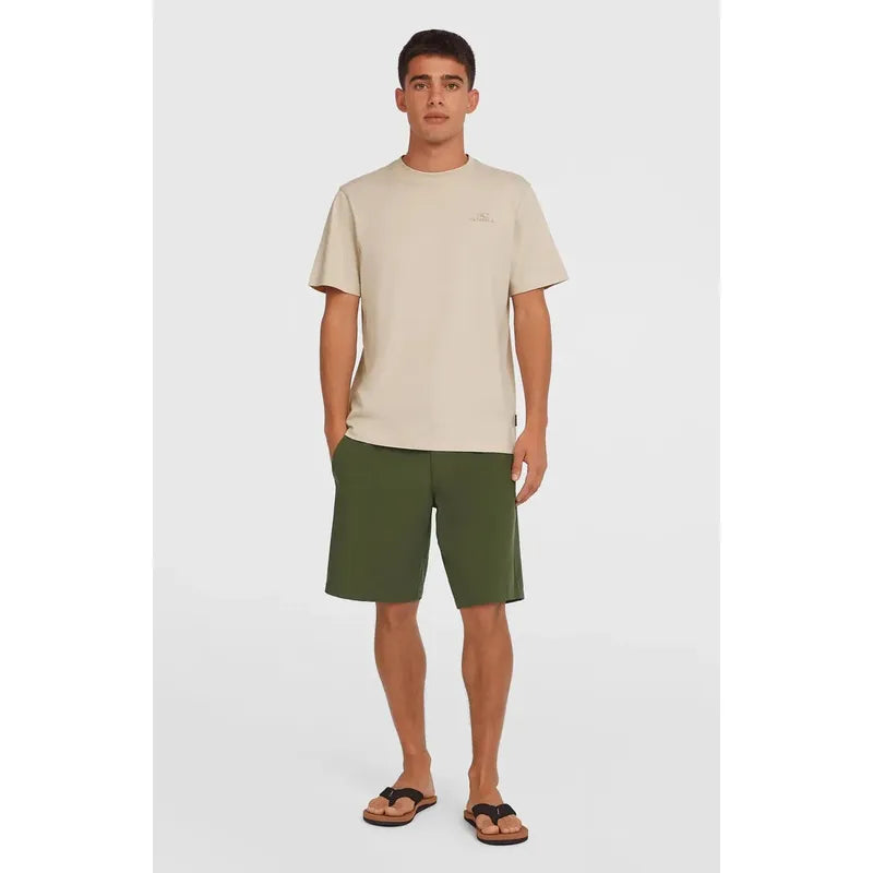 O'Neill Hybrid Chino 19" Shorts - forest night