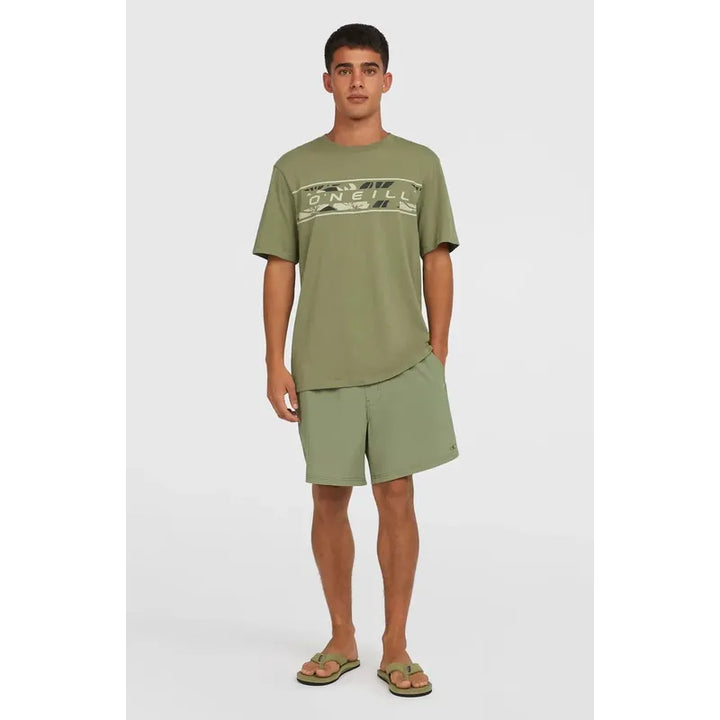 O'Neill Pocket Print 16" Boardshorts - avery fern