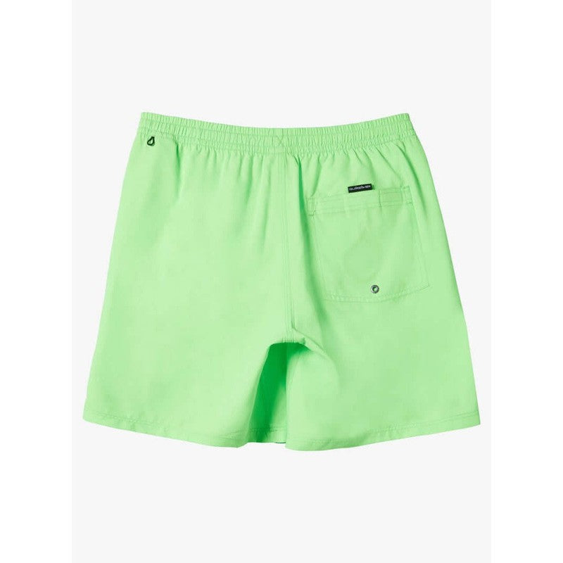 Quiksilver Herren Badehosen Everyday Solid Volley 15" - Green Gecko