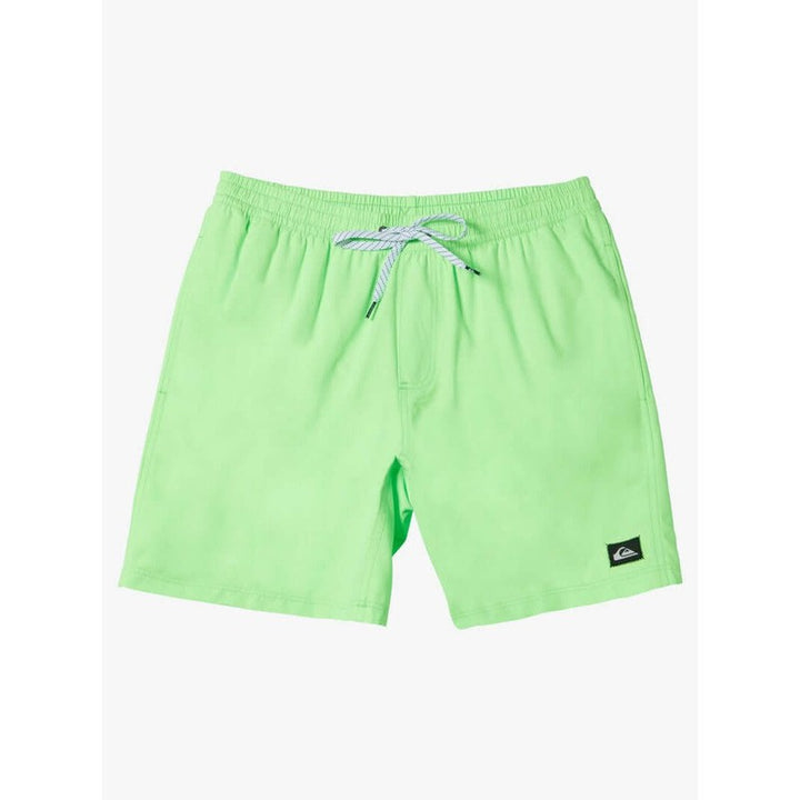 Quiksilver Herren Badehosen Everyday Solid Volley 15" - Green Gecko