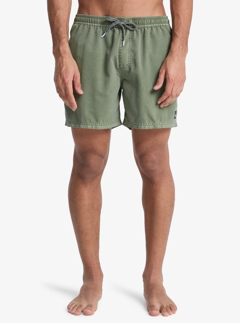 Quiksilver Herren Badehosen Everyday Surfwash Volley 15' - Grape Leaf
