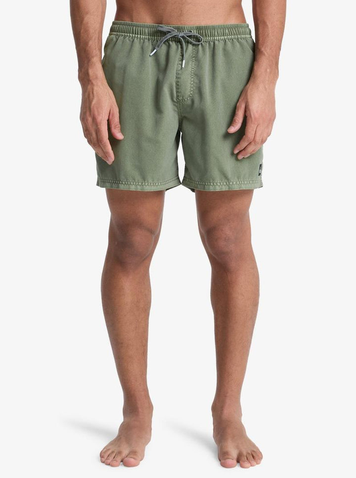 Quiksilver Herren Badehosen Everyday Surfwash Volley 15' - Grape Leaf