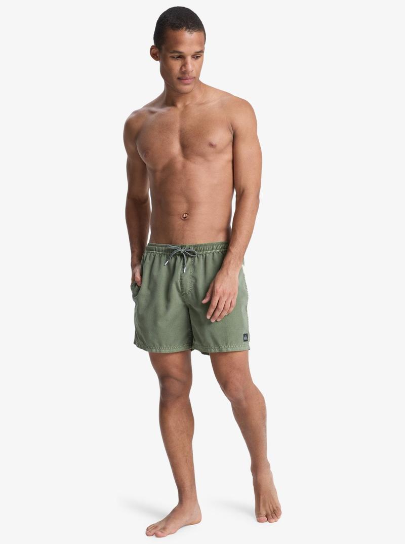 Quiksilver Herren Badehosen Everyday Surfwash Volley 15' - Grape Leaf