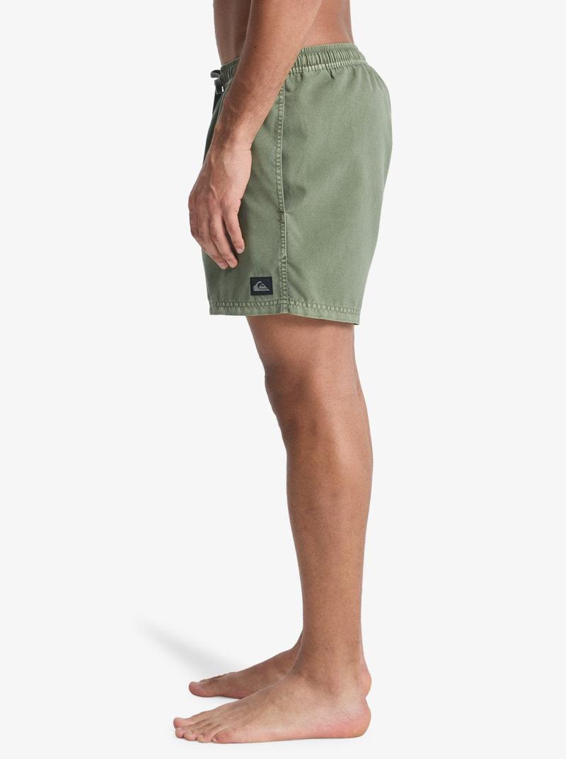 Quiksilver Herren Badehosen Everyday Surfwash Volley 15' - Grape Leaf