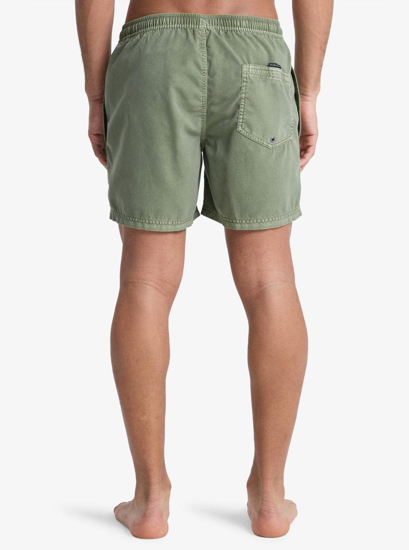 Quiksilver Herren Badehosen Everyday Surfwash Volley 15' - Grape Leaf