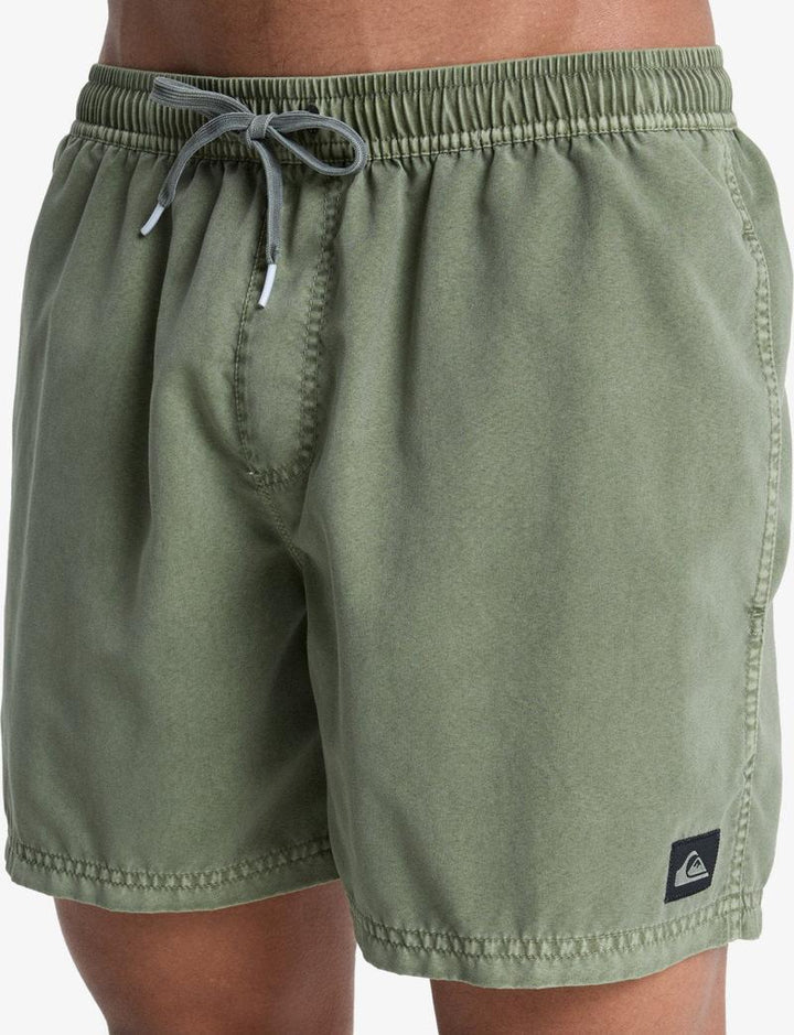 Quiksilver Herren Badehosen Everyday Surfwash Volley 15' - Grape Leaf