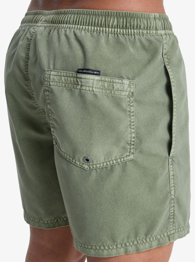Quiksilver Herren Badehosen Everyday Surfwash Volley 15' - Grape Leaf