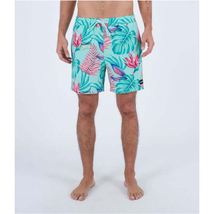 Hurley Herren Badehosen 17" Cannonball Volley - paradise