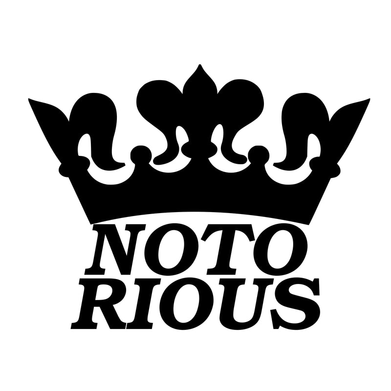 Semente Poolboard Notorious 5'0" (HD Plugs, Gun Glassing)